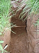11.JPG