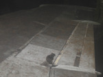 105.jpg