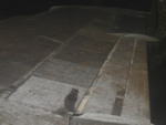 119.jpg