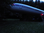 175.jpg