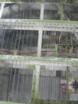DSCN1833.JPG