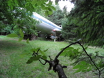 123.jpg