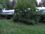 148.jpg