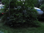 153.jpg