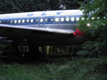154.jpg