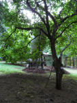 106.jpg