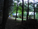 85.jpg