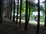 86.jpg