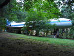 93.jpg