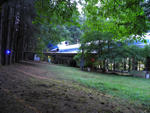 98.jpg
