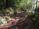 Click on this thumbnail to view the full resolution image in a new tab. 1.jpg