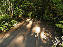 Click on this thumbnail to view the full resolution image in a new tab. 10.jpg