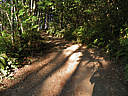 Click on this thumbnail to view the full resolution image in a new tab. 11.jpg
