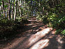 Click on this thumbnail to view the full resolution image in a new tab. 12.jpg