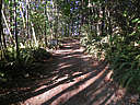 Click on this thumbnail to view the full resolution image in a new tab. 13.jpg