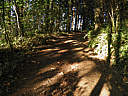 Click on this thumbnail to view the full resolution image in a new tab. 15.jpg