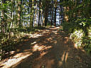 Click on this thumbnail to view the full resolution image in a new tab. 16.jpg