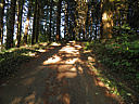 Click on this thumbnail to view the full resolution image in a new tab. 17.jpg