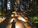 Click on this thumbnail to view the full resolution image in a new tab. 18.jpg
