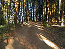 Click on this thumbnail to view the full resolution image in a new tab. 19.jpg