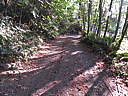 Click on this thumbnail to view the full resolution image in a new tab. 2.jpg