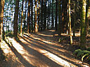 Click on this thumbnail to view the full resolution image in a new tab. 20.jpg