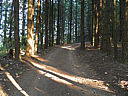 Click on this thumbnail to view the full resolution image in a new tab. 21.jpg