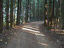 Click on this thumbnail to view the full resolution image in a new tab. 22.jpg