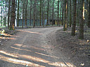 Click on this thumbnail to view the full resolution image in a new tab. 23.jpg