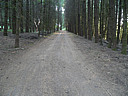 Click on this thumbnail to view the full resolution image in a new tab. 26.jpg