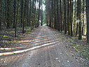 Click on this thumbnail to view the full resolution image in a new tab. 27.jpg