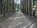 Click on this thumbnail to view the full resolution image in a new tab. 28.jpg