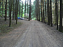 Click on this thumbnail to view the full resolution image in a new tab. 29.jpg