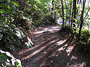 Click on this thumbnail to view the full resolution image in a new tab. 3.jpg