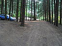 Click on this thumbnail to view the full resolution image in a new tab. 31.jpg