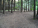 Click on this thumbnail to view the full resolution image in a new tab. 34.jpg