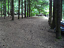 Click on this thumbnail to view the full resolution image in a new tab. 35.jpg