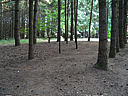 Click on this thumbnail to view the full resolution image in a new tab. 38.jpg