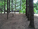 Click on this thumbnail to view the full resolution image in a new tab. 39.jpg