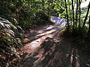 Click on this thumbnail to view the full resolution image in a new tab. 4.jpg