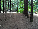 Click on this thumbnail to view the full resolution image in a new tab. 40.jpg