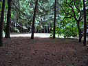 Click on this thumbnail to view the full resolution image in a new tab. 41.jpg