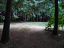Click on this thumbnail to view the full resolution image in a new tab. 42.jpg