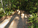 Click on this thumbnail to view the full resolution image in a new tab. 9.jpg