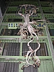 05.jpg