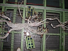 09.jpg